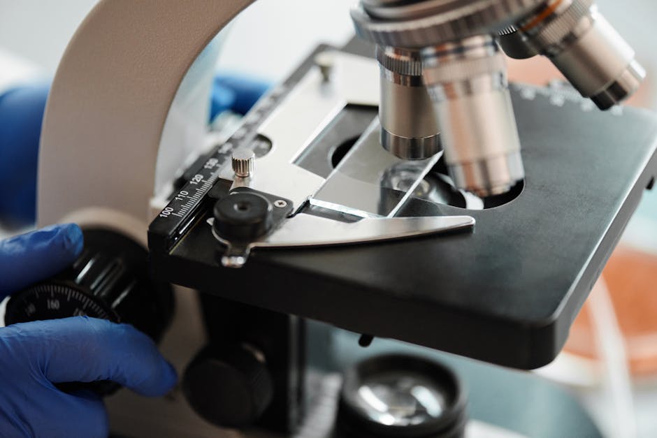 Latest Studies on Vision Rehabilitation Methods