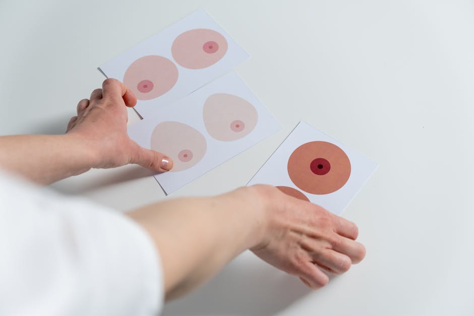 Understanding Visual Processing: Recent Studies
