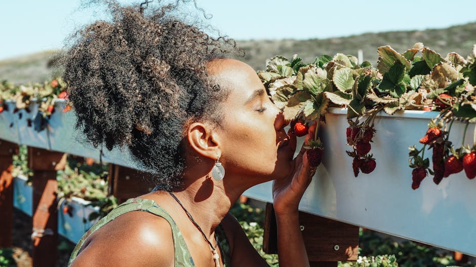 Seasonal Allergies and Eye Health Tips