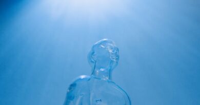 Exploring New Advances in Vision Science